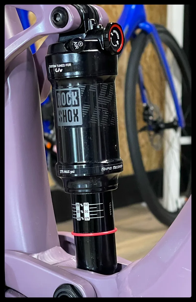 Liv Embolden E+ 2 29er Small Purple Ash 2022-3